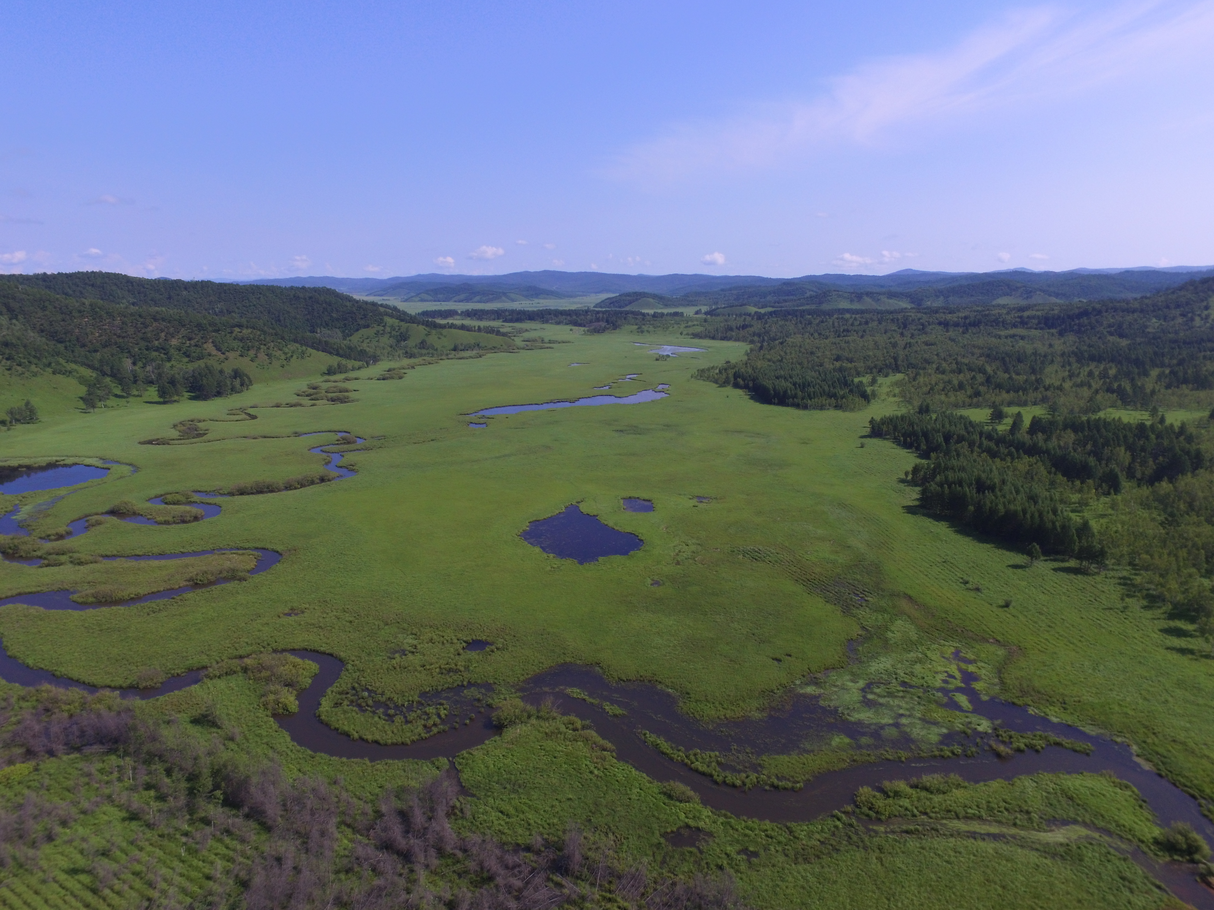 Marshs in Bila River Ramsar Site